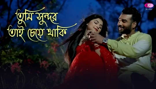 Tumi Sundar Tai Cheye Thaki Lyrics Nazrul Geeti